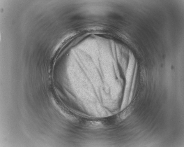 X0000053150159200508012319