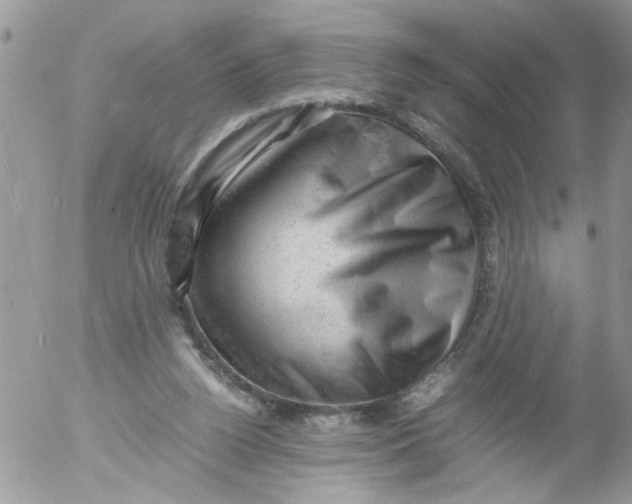 X0000053150160200508012319