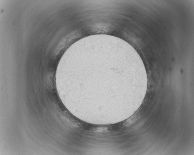 X0000053150162200508012319