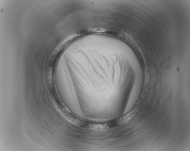 X0000053150163200508012319