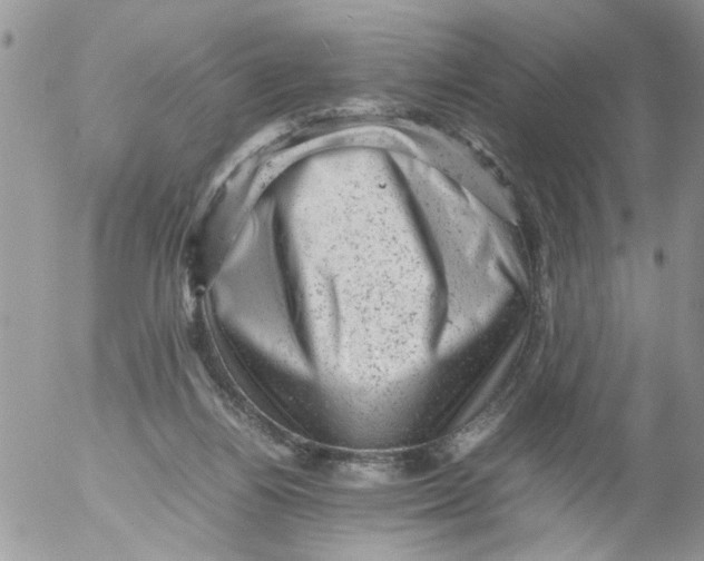 X0000053150164200508012319