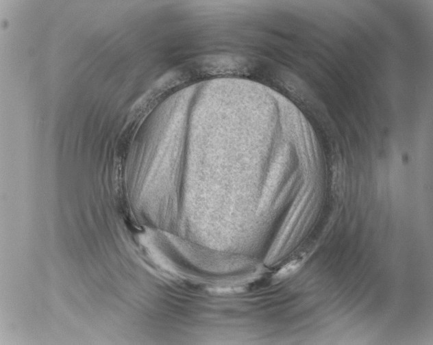 X0000053150165200508012319