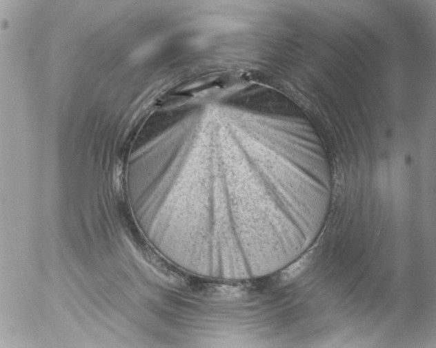 X0000053150166200508012319