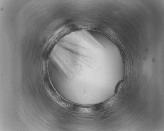 X0000053150167200508012319