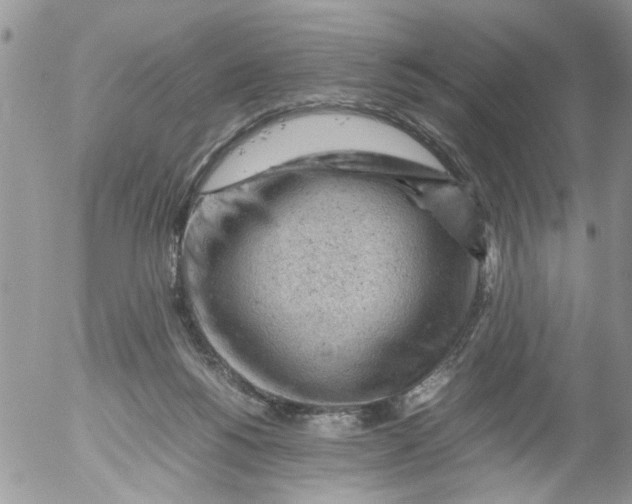 X0000053150168200508012319