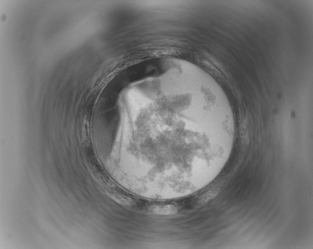 X0000053150169200508012319