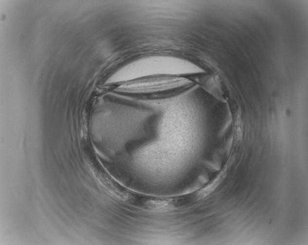 X0000053150170200508012319