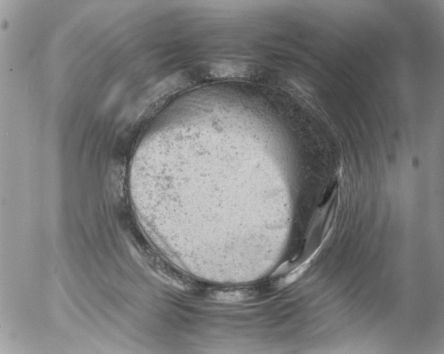 X0000053150171200508012319