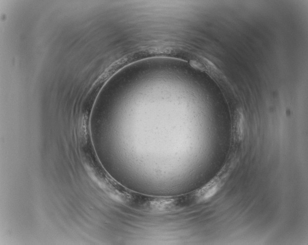 X0000053150172200508012319