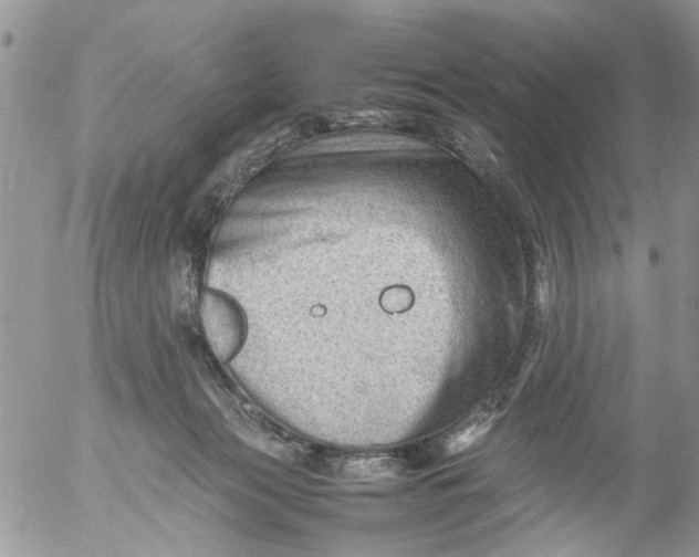 X0000053150173200508012319