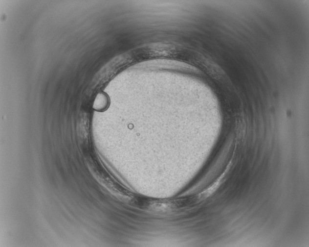 X0000053150174200508012319