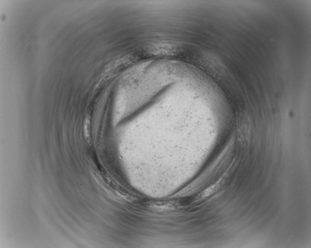 X0000053150175200508012319