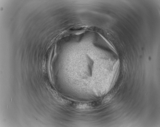 X0000053150177200508012319