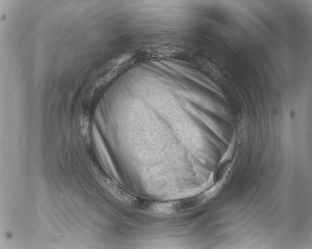 X0000053150178200508012319