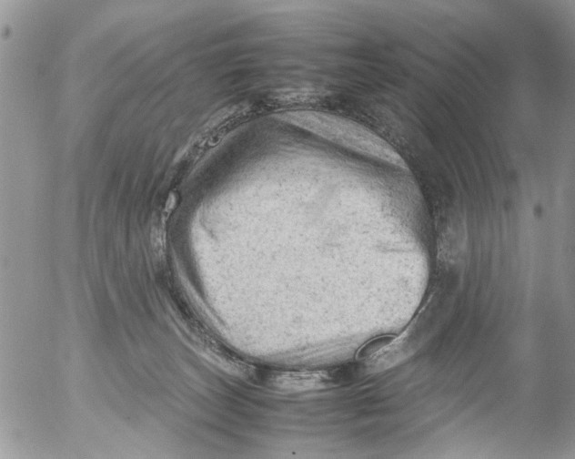 X0000053150179200508012319