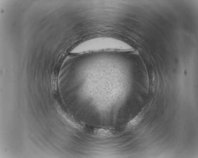 X0000053150180200508012319