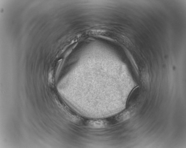 X0000053150181200508012319