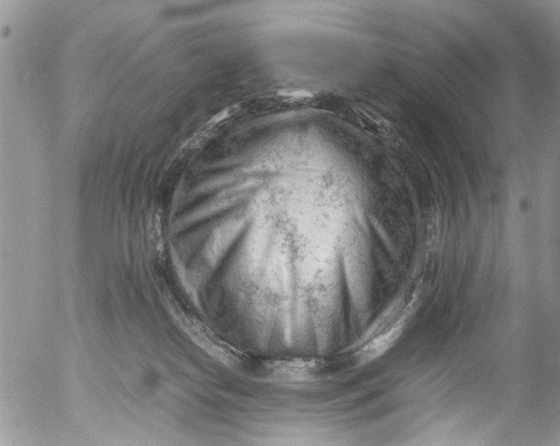 X0000053150182200508012319