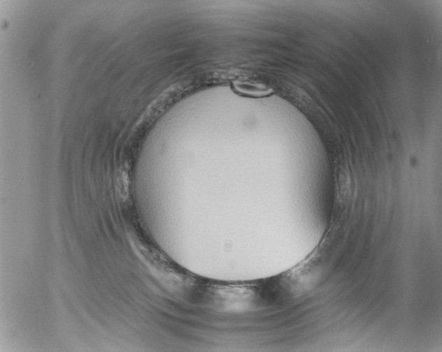 X0000053150183200508012319