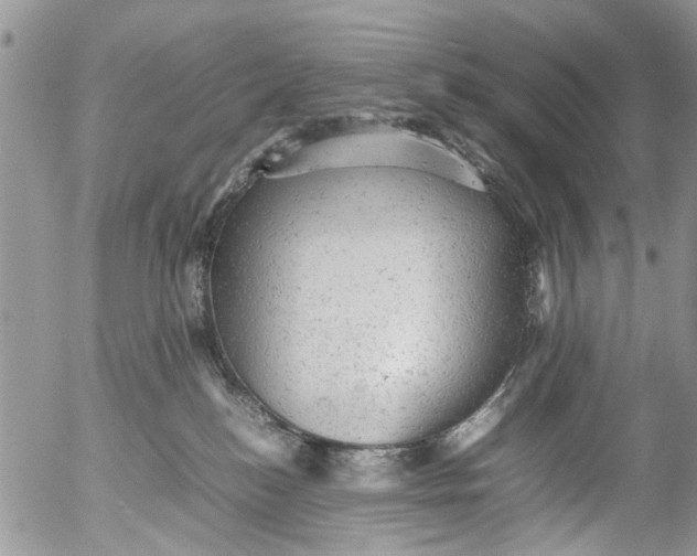 X0000053150184200508012319