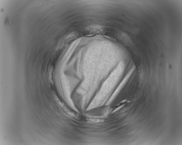 X0000053150185200508012319