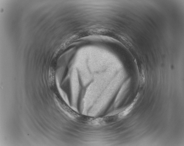 X0000053150186200508012319