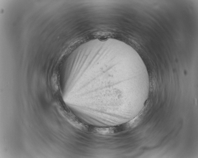 X0000053150187200508012319