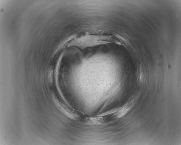 X0000053150188200508012319