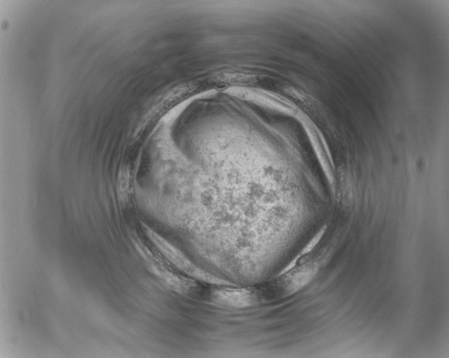 X0000053150189200508012319