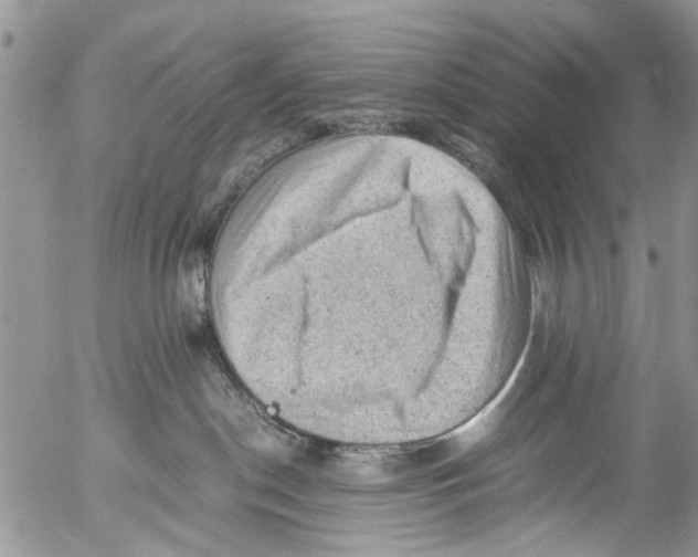 X0000053150190200508012319