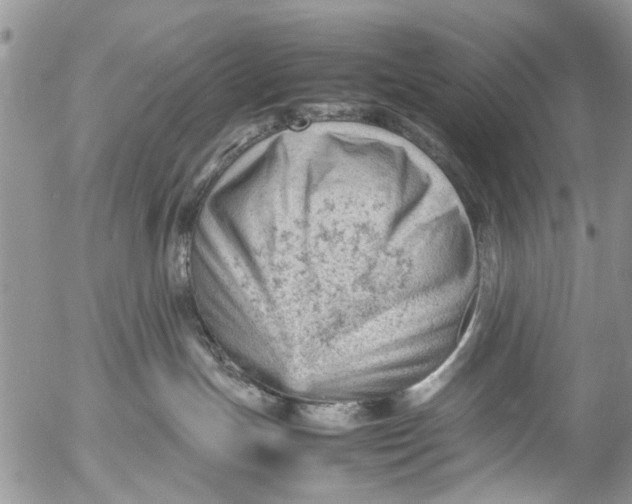 X0000053150191200508012319