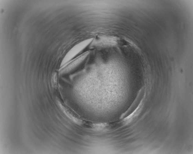 X0000053150192200508012319