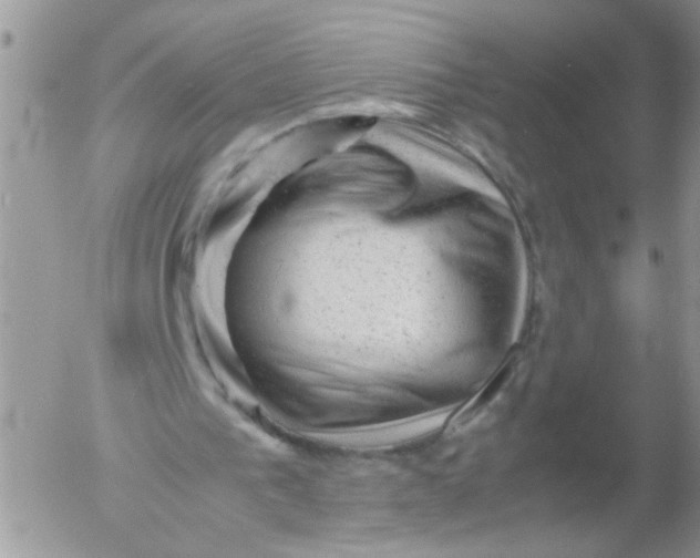 X0000053150193200508012319