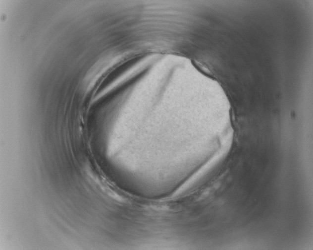 X0000053150194200508012319