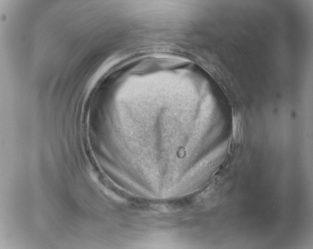 X0000053150195200508012319