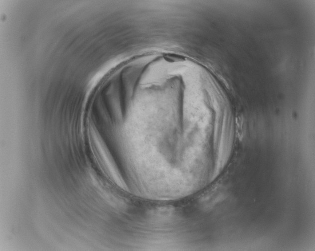 X0000053150196200508012319