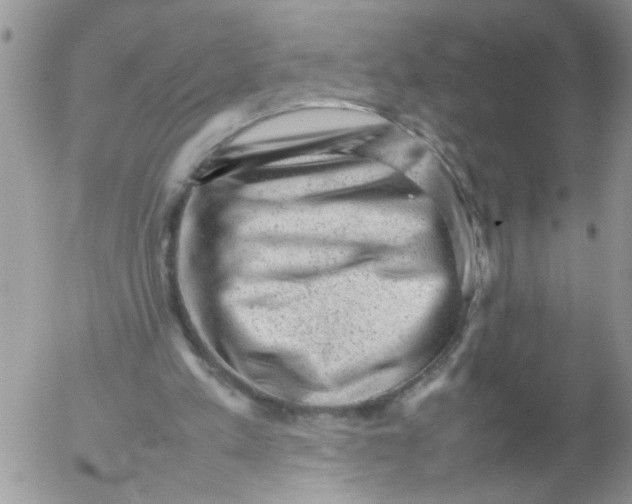 X0000053150197200508012319