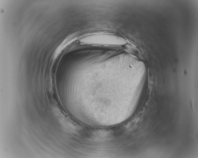 X0000053150198200508012319