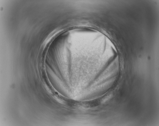 X0000053150199200508012318