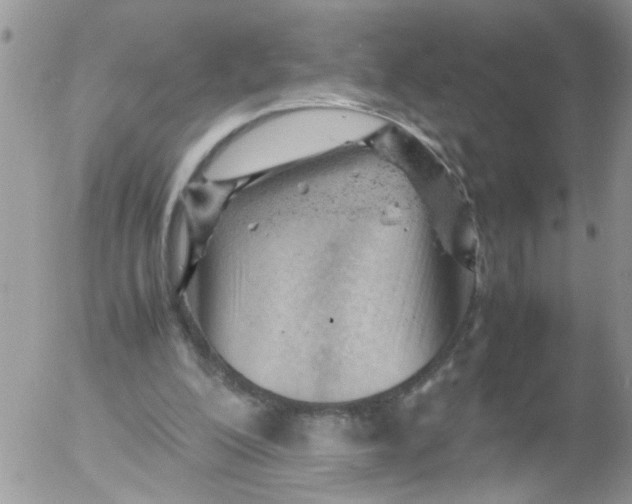 X0000053150200200508012318