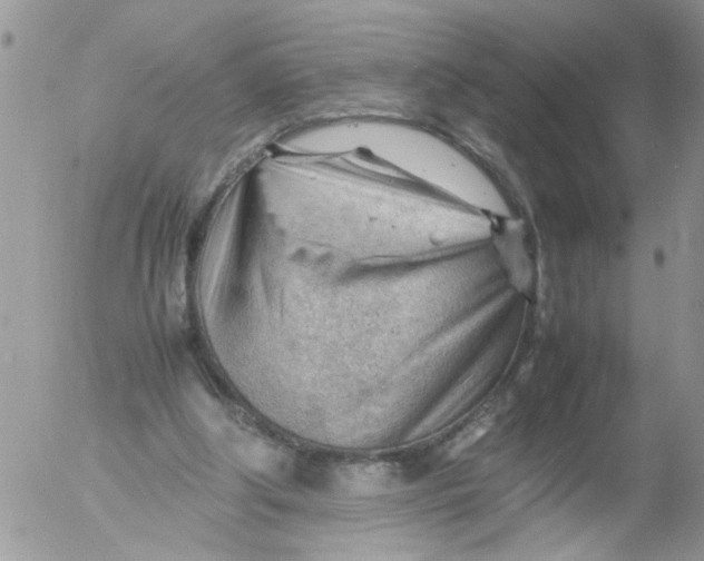 X0000053150202200508012318