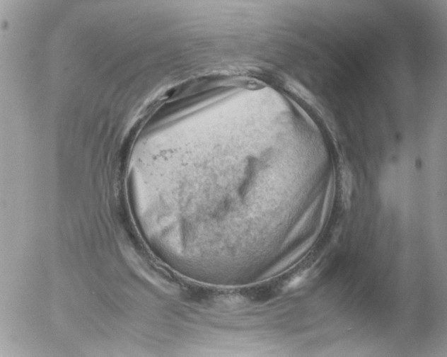 X0000053150203200508012318