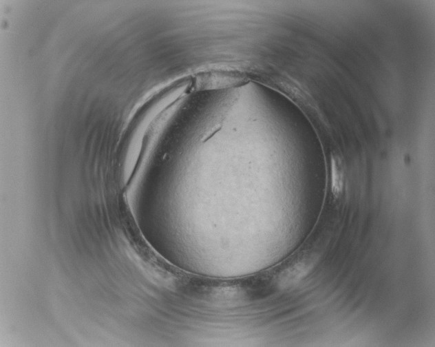 X0000053150204200508012318