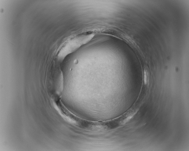 X0000053150205200508012318