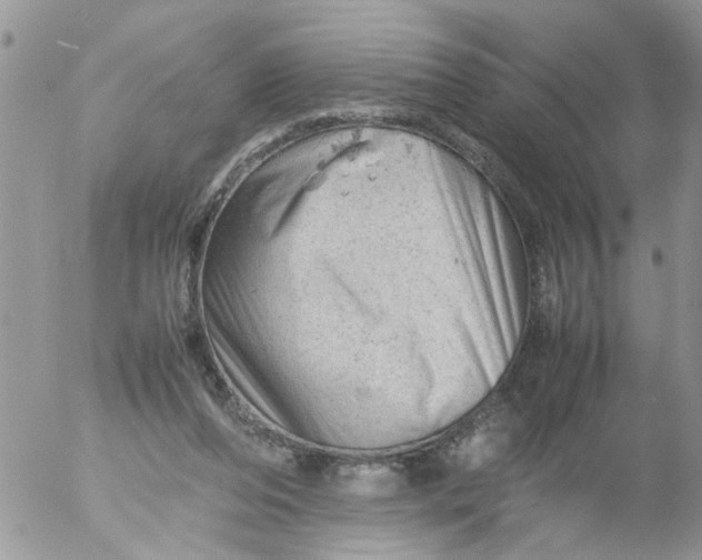 X0000053150208200508012318