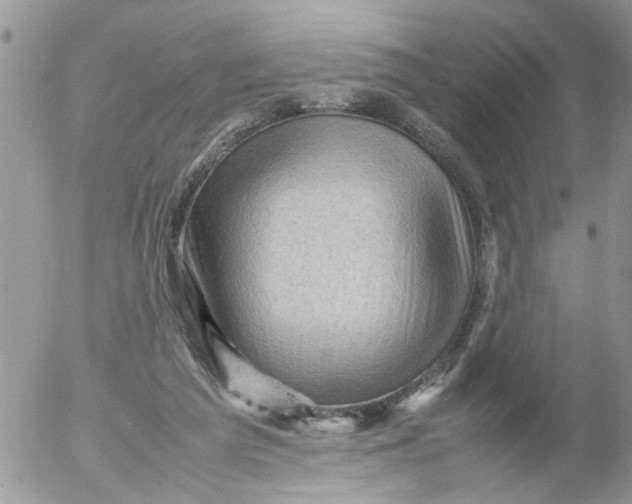 X0000053150209200508012318