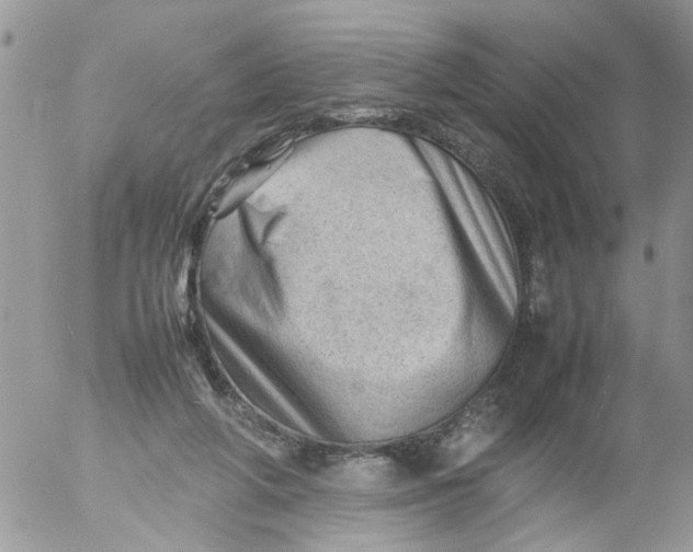 X0000053150210200508012318