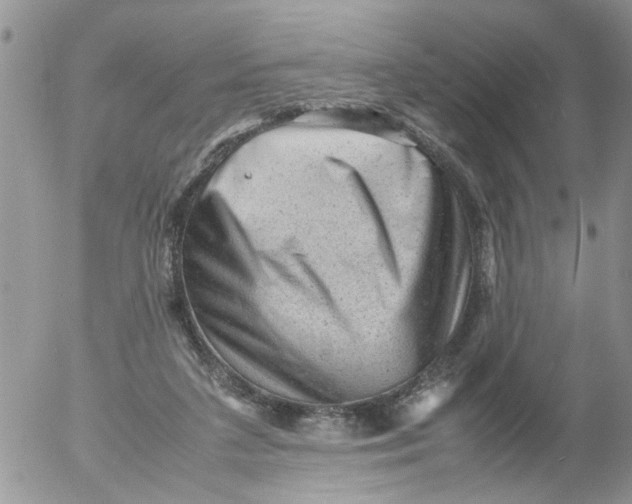 X0000053150211200508012318