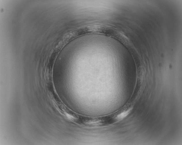 X0000053150213200508012318