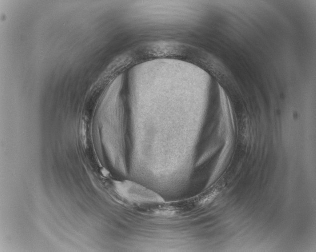 X0000053150214200508012318